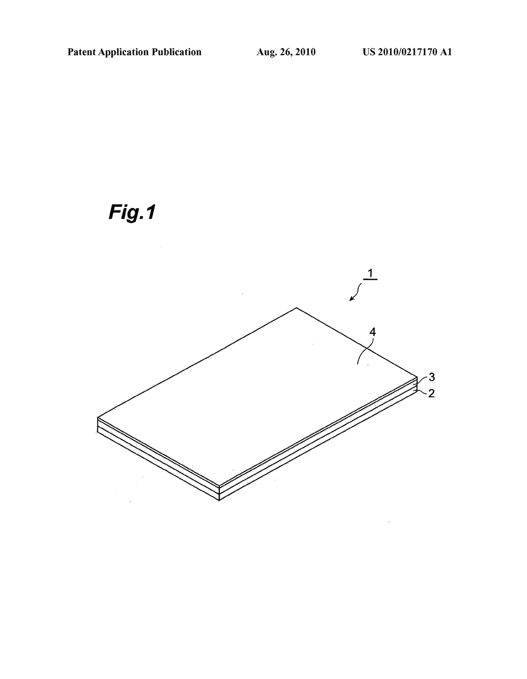 Adhesive Skin Patch - diagram, schematic, and image 02