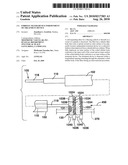 EMBOLIC FILTER DEVICE INDEPENDENT OF TREATMENT DEVICE diagram and image