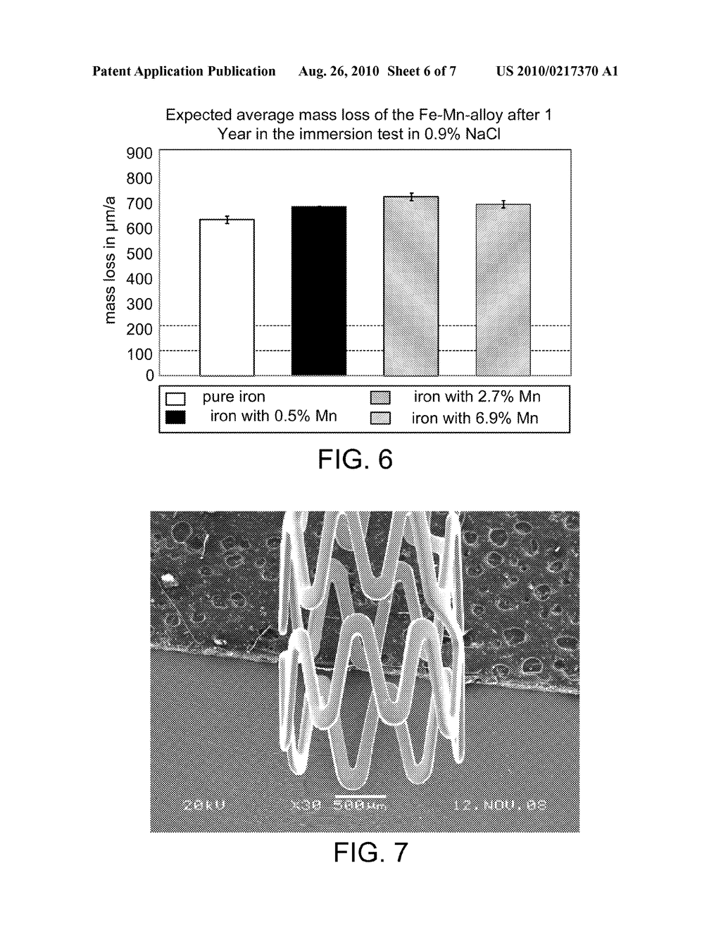 Bioerodible Endoprosthesis - diagram, schematic, and image 07