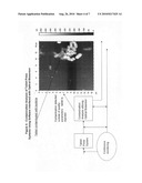 Manufacturing execution system (MES) and methods of monitoring glycol manufacturing processes utilizing functional nanomaterials diagram and image