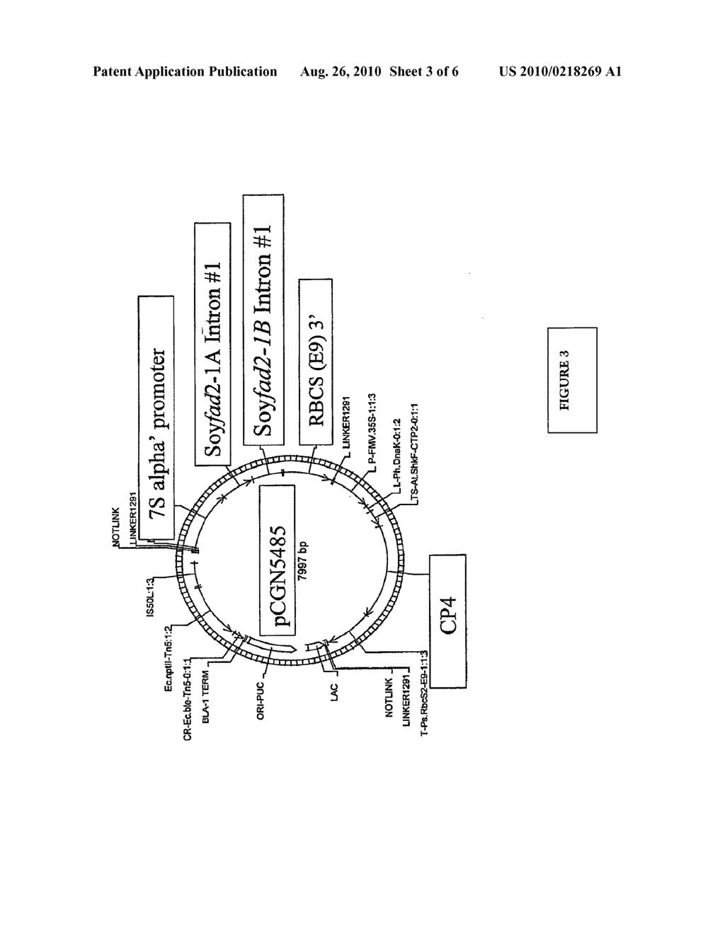 Soybean Seed and Oil Compositions And Methods of Making Same - diagram, schematic, and image 04