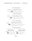 Soybean Seed and Oil Compositions And Methods of Making Same diagram and image