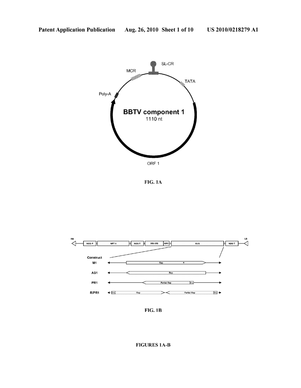 PLANT RESISTANCE TO BANANA BUNCHY TOP VIRUS - diagram, schematic, and image 02