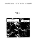 MANUFACTURING METHOD OF RARE EARTH-IRON RING MAGNET WITH CONTINUOUS ORIENTATION CONTROLLED ANISOTROPY diagram and image