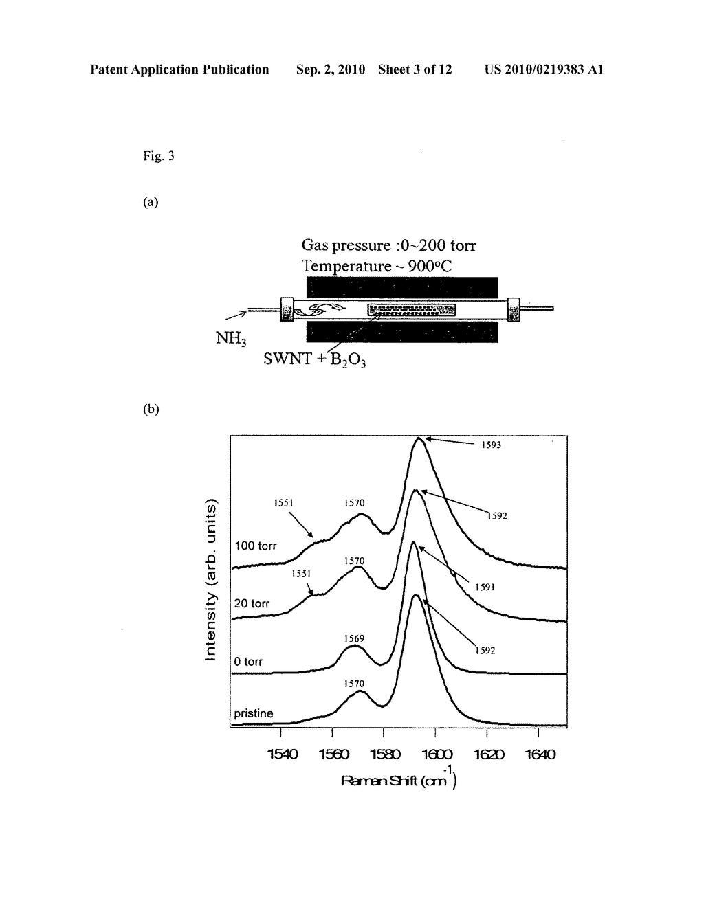 Boron-Doped Single-Walled Nanotubes(SWCNT) - diagram, schematic, and image 04