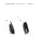 BIDIRECTIONAL SHAPE MEMORY ALLOY THIN FILM ACTUATOR AND METHOD FOR MANUFACTURING SHAPE MEMORY ALLOY THIN FILM USED THEREFOR diagram and image