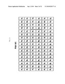 STEREOSCOPIC IMAGE DISPLAY APPARATUS OF NET PATTERN diagram and image