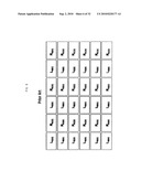 STEREOSCOPIC IMAGE DISPLAY APPARATUS OF NET PATTERN diagram and image