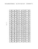 STEREOSCOPIC IMAGE DISPLAY APPARATUS OF NET PATTERN diagram and image