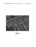 FERROELECTRIC LIQUID CRYSTAL (FLC) POLYMERS diagram and image