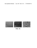 FERROELECTRIC LIQUID CRYSTAL (FLC) POLYMERS diagram and image