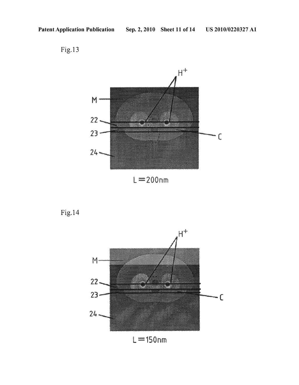 Measurement Device for the Distribution of Chemical Concentration - diagram, schematic, and image 12