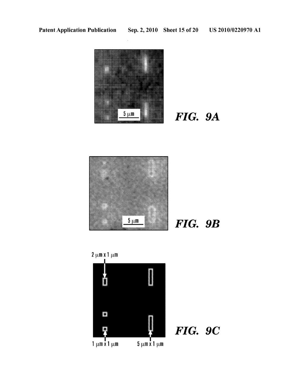 MULTIPLE QUANTUM DOT WAVEGUIDES - diagram, schematic, and image 16