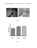 IN VIVO IMAGING OF MYELINATION diagram and image