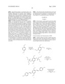 IN VIVO IMAGING OF MYELINATION diagram and image