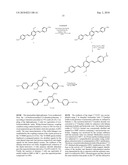 IN VIVO IMAGING OF MYELINATION diagram and image