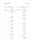 HEPATITIS C VIRUS INHIBITORS diagram and image