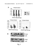 CHLAMYDIA PNEUMONIAE ANTIGENS diagram and image