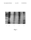 Modified live aeromonas hydrophila vaccine for aquatic animals diagram and image