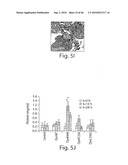 DYNAMIN MEDIATED DISEASES AND ASSOCIATED METHODS AND PRODUCTS diagram and image