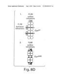 DYNAMIN MEDIATED DISEASES AND ASSOCIATED METHODS AND PRODUCTS diagram and image