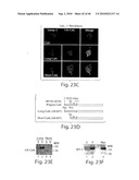 DYNAMIN MEDIATED DISEASES AND ASSOCIATED METHODS AND PRODUCTS diagram and image