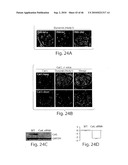 DYNAMIN MEDIATED DISEASES AND ASSOCIATED METHODS AND PRODUCTS diagram and image