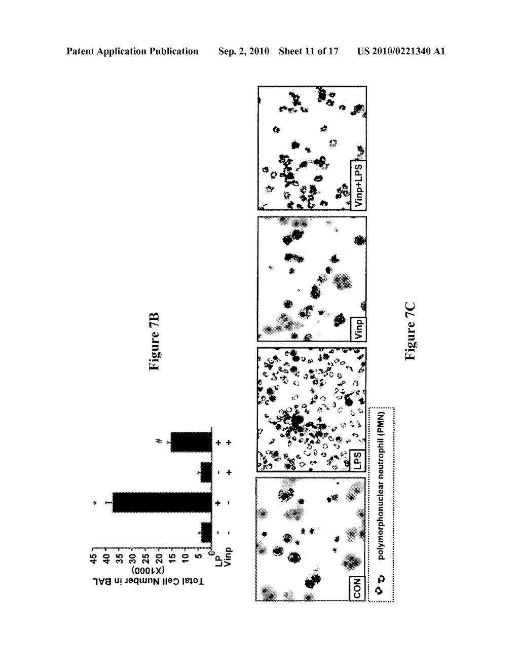 METHOD AND COMPOSITIONS FOR TREATMENT OR PREVENTION OF INFLAMMATORY CONDITIONS - diagram, schematic, and image 12