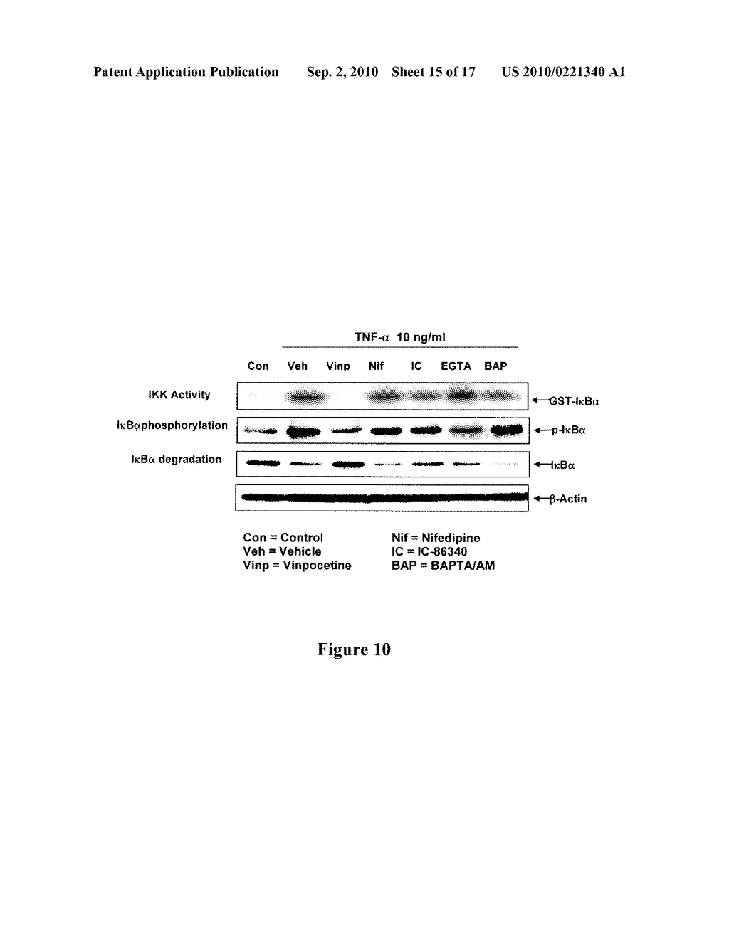 METHOD AND COMPOSITIONS FOR TREATMENT OR PREVENTION OF INFLAMMATORY CONDITIONS - diagram, schematic, and image 16