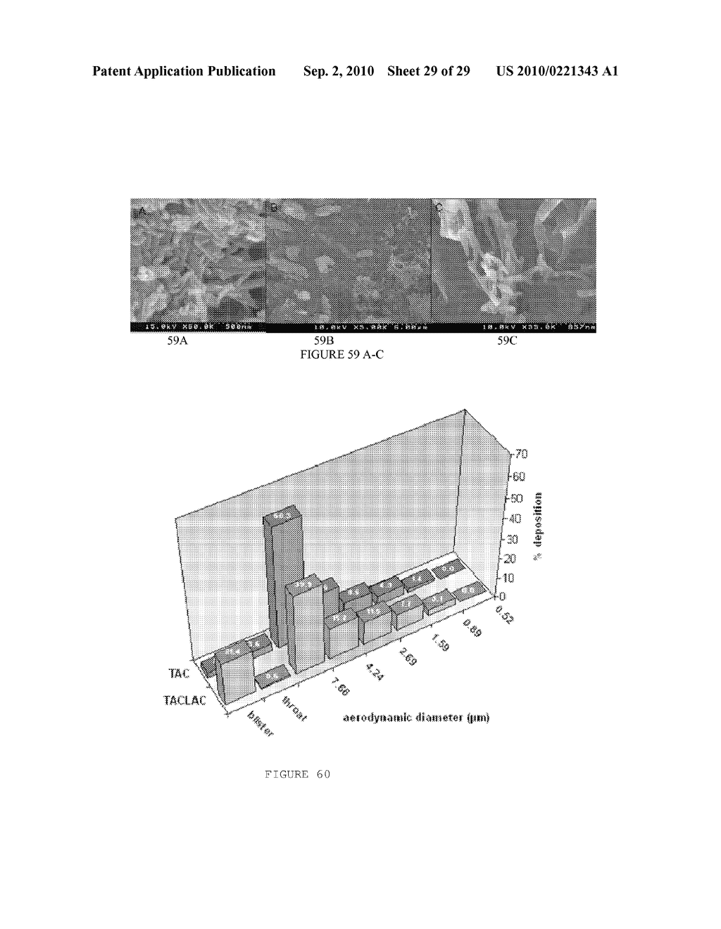 COMPOSITIONS AND METHODS OF MAKING BRITTLE-MATRIX PARTICLES THROUGH BLISTER PACK FREEZING - diagram, schematic, and image 30