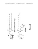 Synthetic derivatives beta glycolipids and compositions thereof for the treatment of pathologic disorders diagram and image