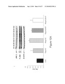 Synthetic derivatives beta glycolipids and compositions thereof for the treatment of pathologic disorders diagram and image