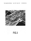 METAL-COATED CARBON MATERIAL AND CARBON-METAL COMPOSITE MATERIAL USING THE SAME diagram and image