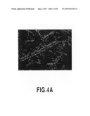 METAL-COATED CARBON MATERIAL AND CARBON-METAL COMPOSITE MATERIAL USING THE SAME diagram and image