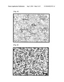 CARBON NANOTUBE CONDUCTIVE LAYER USING SPRAY COATING AND PREPARING METHOD THEREOF diagram and image