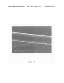 Carbon nanotube composite material and method for making the same diagram and image