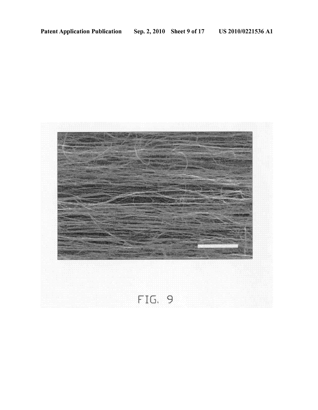 Carbon nanotube composite material and method for making the same - diagram, schematic, and image 10