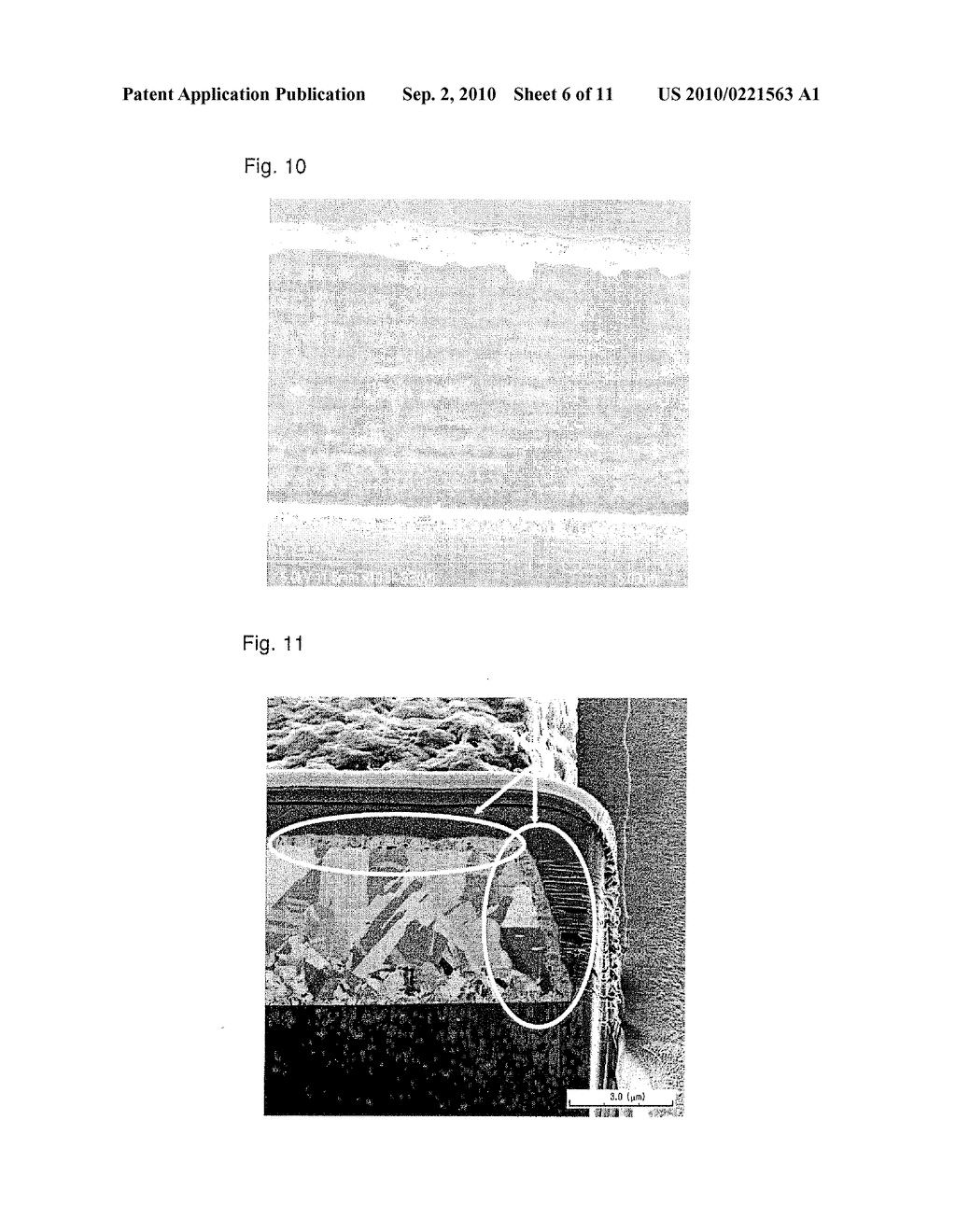 Metal Covered Polyimide Composite, Process for Producing the Composite, and Process for Producing Electronic Circuit Board - diagram, schematic, and image 07