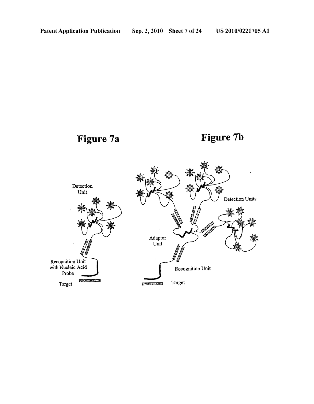 IN SITU HYBRIDIZATION DETECTION METHOD - diagram, schematic, and image 08