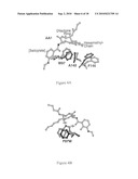 METHODS FOR IDENTIFYING AGENTS THAT MODULATE APOPTOSIS IN CELLS THAT OVER-EXPRESS A BCL-2 FAMILY MEMBER PROTEIN diagram and image