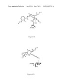 METHODS FOR IDENTIFYING AGENTS THAT MODULATE APOPTOSIS IN CELLS THAT OVER-EXPRESS A BCL-2 FAMILY MEMBER PROTEIN diagram and image