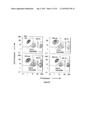 METHODS FOR IDENTIFYING AGENTS THAT MODULATE APOPTOSIS IN CELLS THAT OVER-EXPRESS A BCL-2 FAMILY MEMBER PROTEIN diagram and image