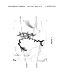 Classification of Nucleic Acid Templates diagram and image