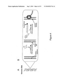 Classification of Nucleic Acid Templates diagram and image