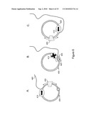 Classification of Nucleic Acid Templates diagram and image