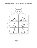 Classification of Nucleic Acid Templates diagram and image