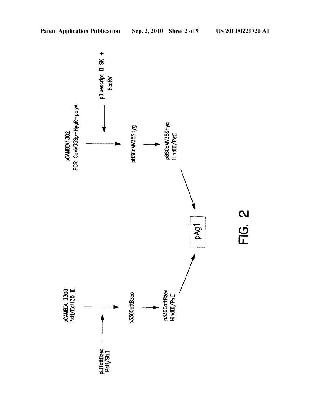 Plant artificial chromosomes, uses thereof and methods of preparing plant artificial chromosomes - diagram, schematic, and image 03