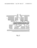 PATCHED POLYPEPTIDES AND USES RELATED THERETO diagram and image