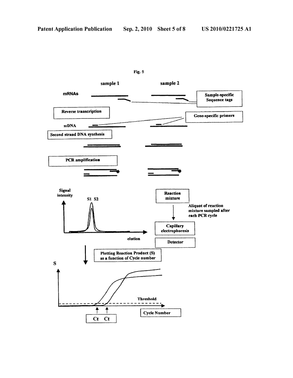 REAL TIME GENE EXPRESSION PROFILING - diagram, schematic, and image 06