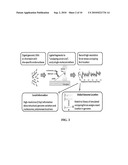 SHOTGUN DNA MAPPING BY UNZIPPING diagram and image